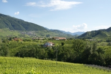 MG_6253-Pano