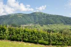MG_6259-Pano