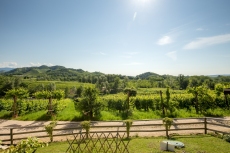 MG_6264-HDR